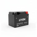 Liyon lithium-ion battery on a white background