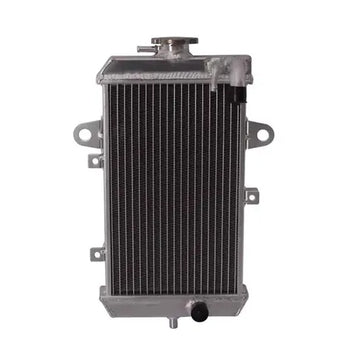 RADIATOR RAPTOR 700 2013+ - Motovile